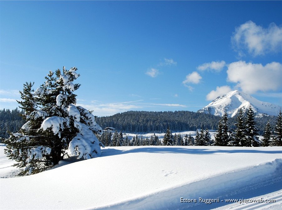 18 - Passo Lavazè, sullo sondo il Corno Nero.jpg